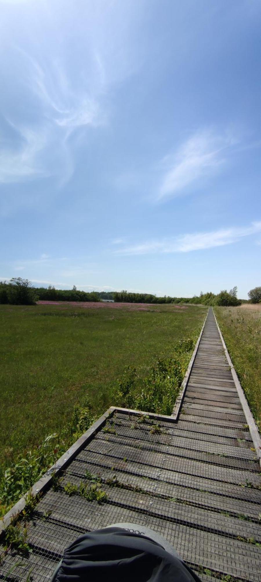 Mobilheim Herz Lauwersoog - Chalet Robbengat Экстерьер фото